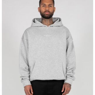 METAMORPHOSE V.4 Heavy Oversized Hoody grey
